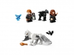 LEGO® Harry Potter™ 76432 - Zakázaný les: Kúzelné stvorenia